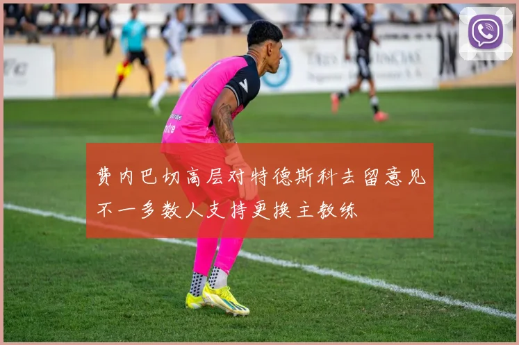 费内巴切高层对特德斯科去留意见不一多数人支持更换主教练