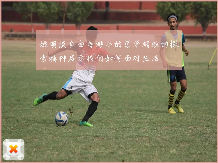 姚明谈自由与渺小的哲学蚂蚁的探索精神启示我们如何面对生活