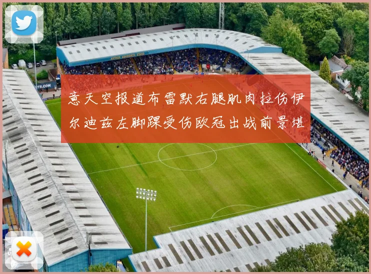 意天空报道布雷默右腿肌肉拉伤伊尔迪兹左脚踝受伤欧冠出战前景堪忧