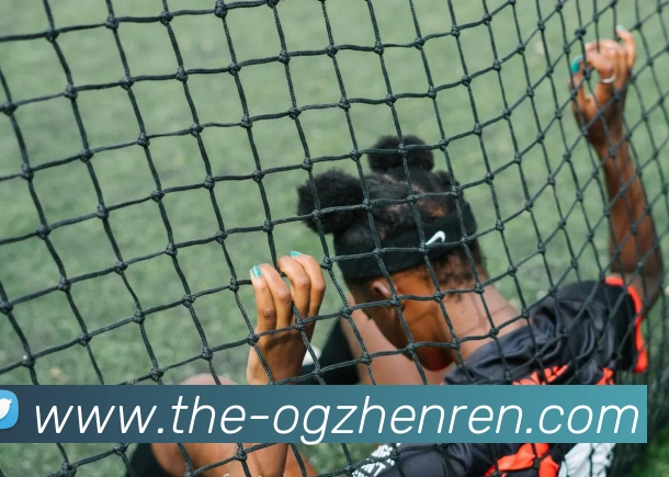 OG真人APP 体育赛事宣传图